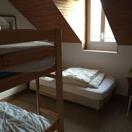 Les Picantins De Sur